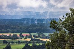 dampfender Wald