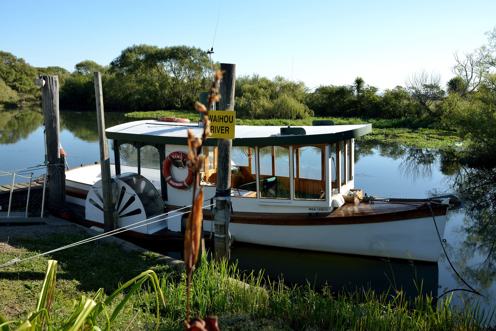 "Dampfer" auf dem Waihou-Fluss