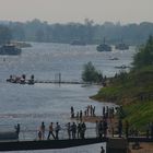 Dampferparade der Weißen Flotte