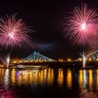 Dampferparade zum Stadtfest Dresden