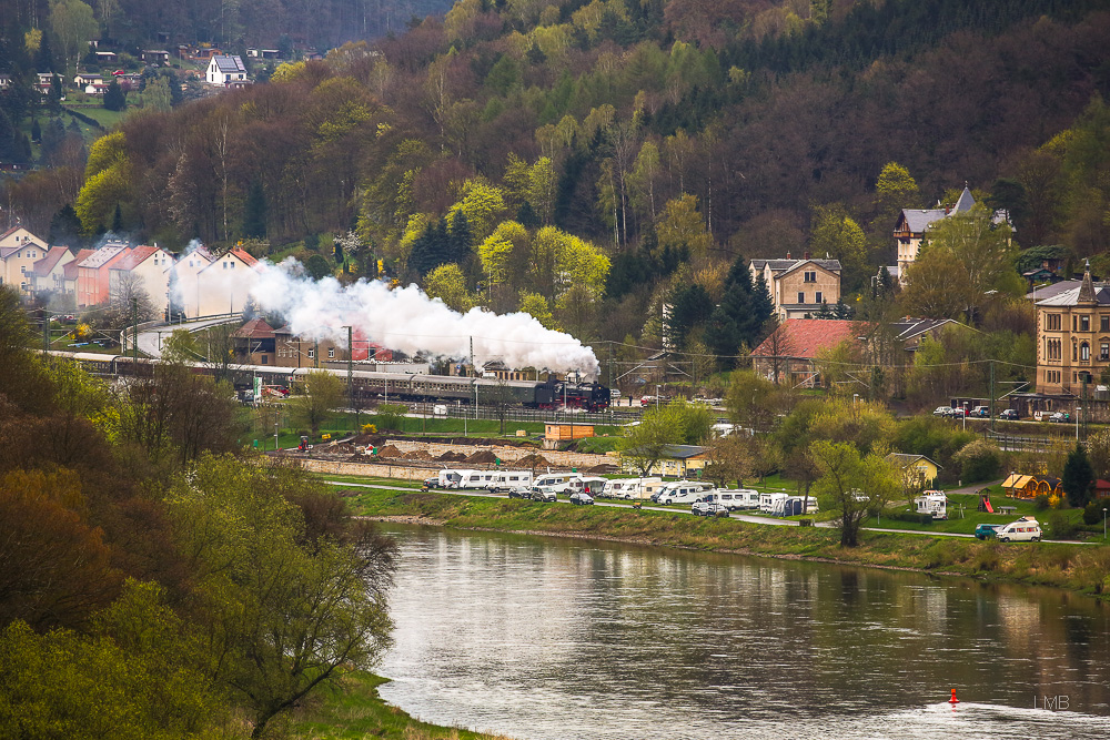 Dampffahne im jungen Grün