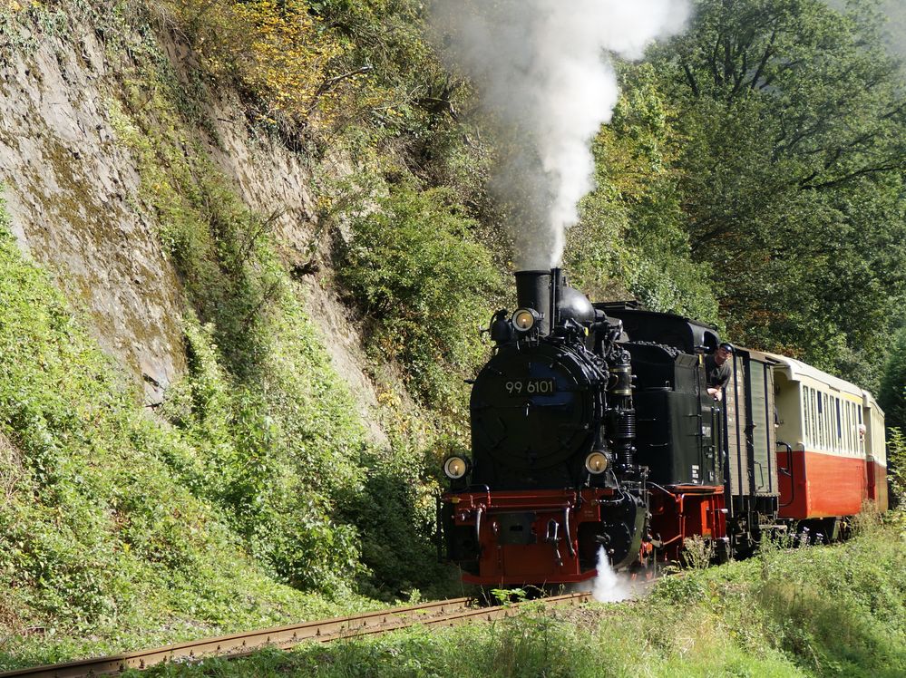 Dampfimpression im Brohltal 1