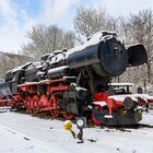 Dampflock im Schnee