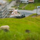 Dampflock in Bauma Zürcher Oberland