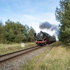 Dampflok auf Usedom