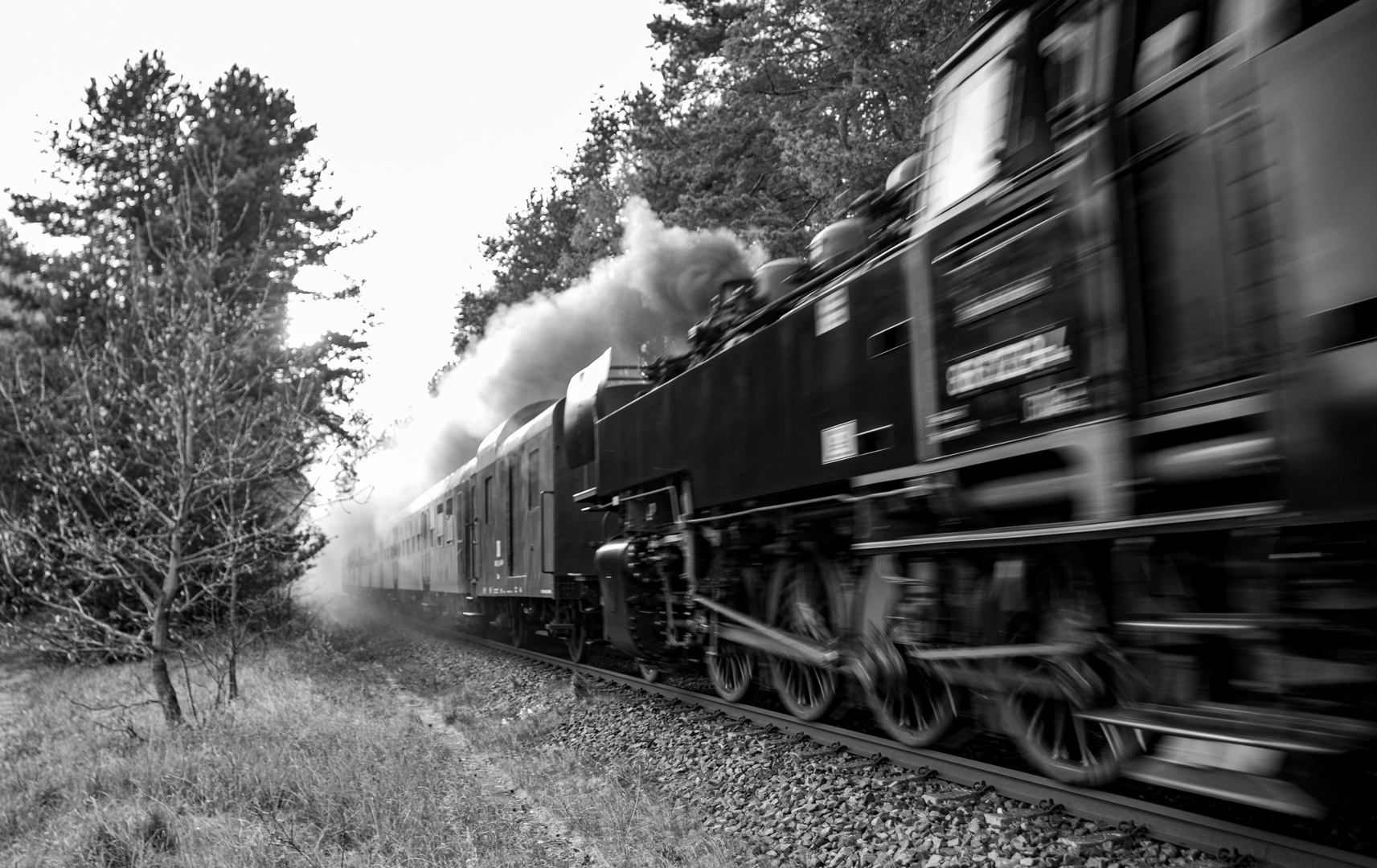 Dampflok auf Usedom in sw