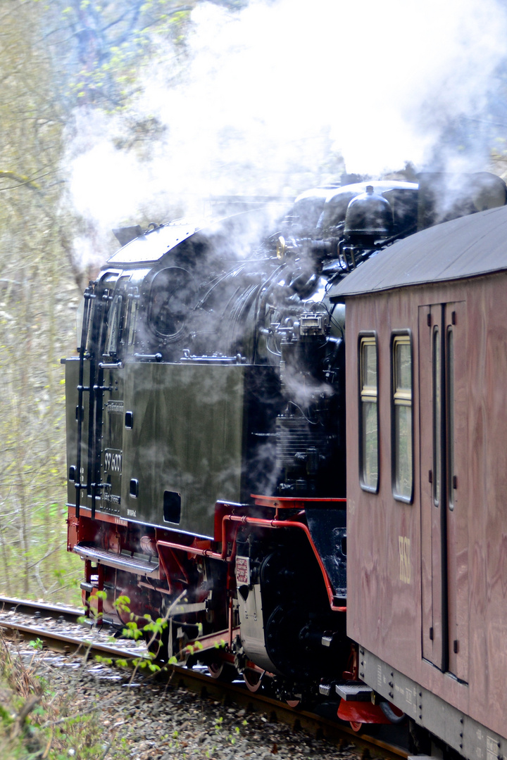 Dampflok bei Alexibad im Harz