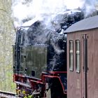 Dampflok bei Alexibad im Harz