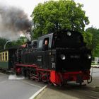 Dampflok - der rasende Roland auf Rügen