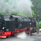 Dampflok im Harz