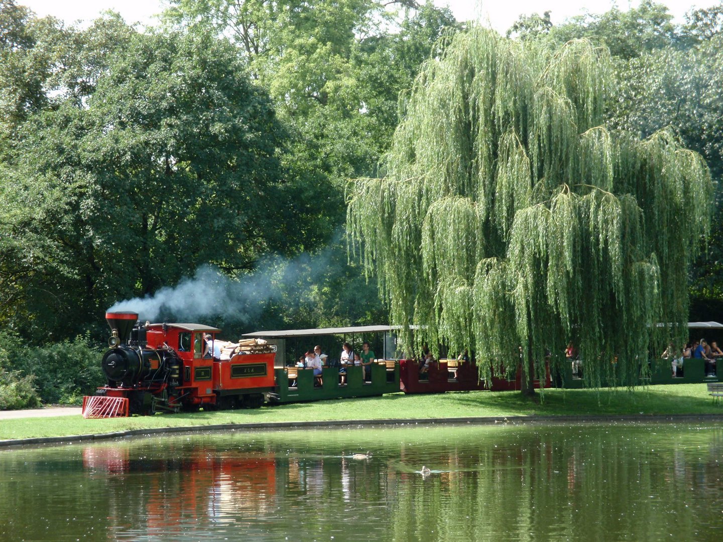 Dampflok im Park