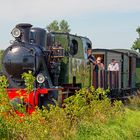 Dampflok Schwarzach von der Selfkantbahn als Dschungelexpress - 2012