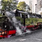 Dampflokomotive 99234.....