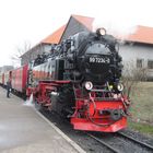 Dampflokomotive 997234-0 Harzquerbahn im Bahnhof Wernigerode