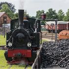 Dampflokomotive Hoya