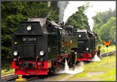 Dampflokomotiven in Drei Annen Hohne im Harz