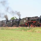 Dampflokparade bei der PKP in Wolsztyn