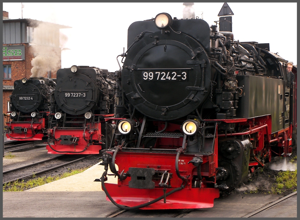 Dampfloks im Betriebswerk Wernigerode