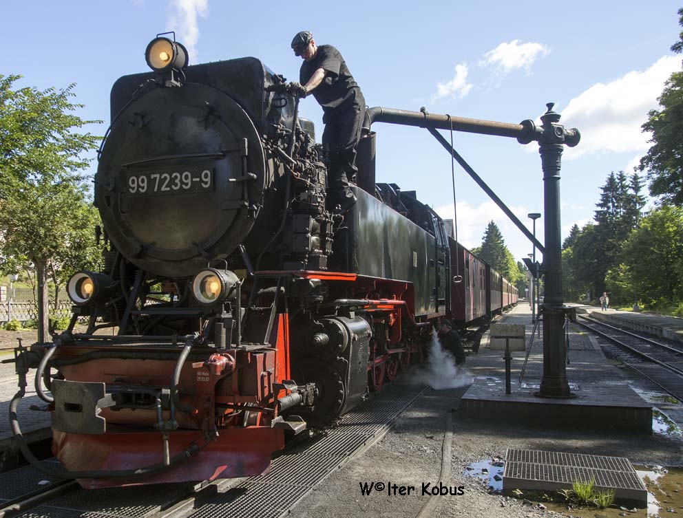 Dampfloks im Harz 2