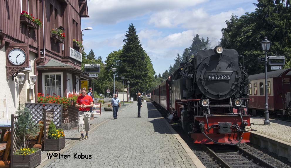 Dampfloks im Harz 3