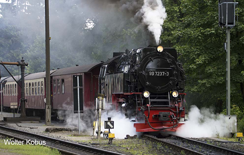 Dampfloks im Harz 4