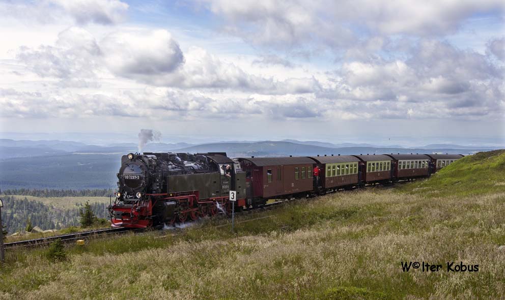 Dampfloks im Harz