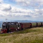 Dampfloks im Harz