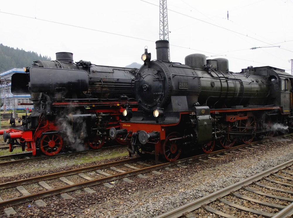 Dampfloktreffen im Schwarzwald !