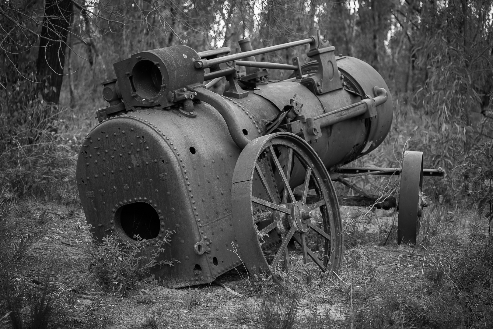 Dampfmaschine Smiths Mill Grampians NP