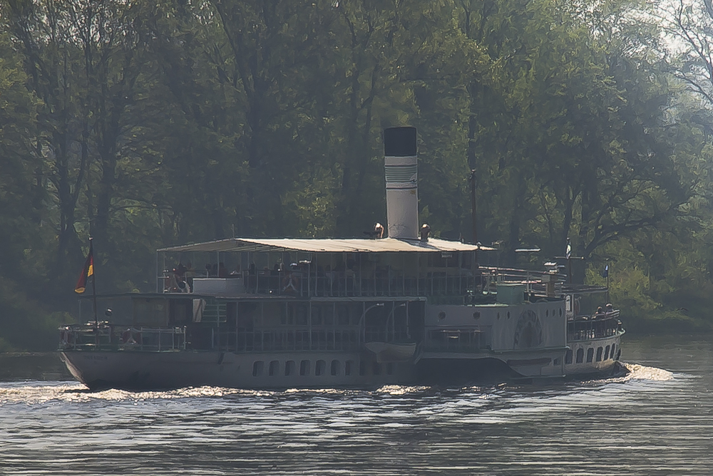 Dampfschiff Dresden