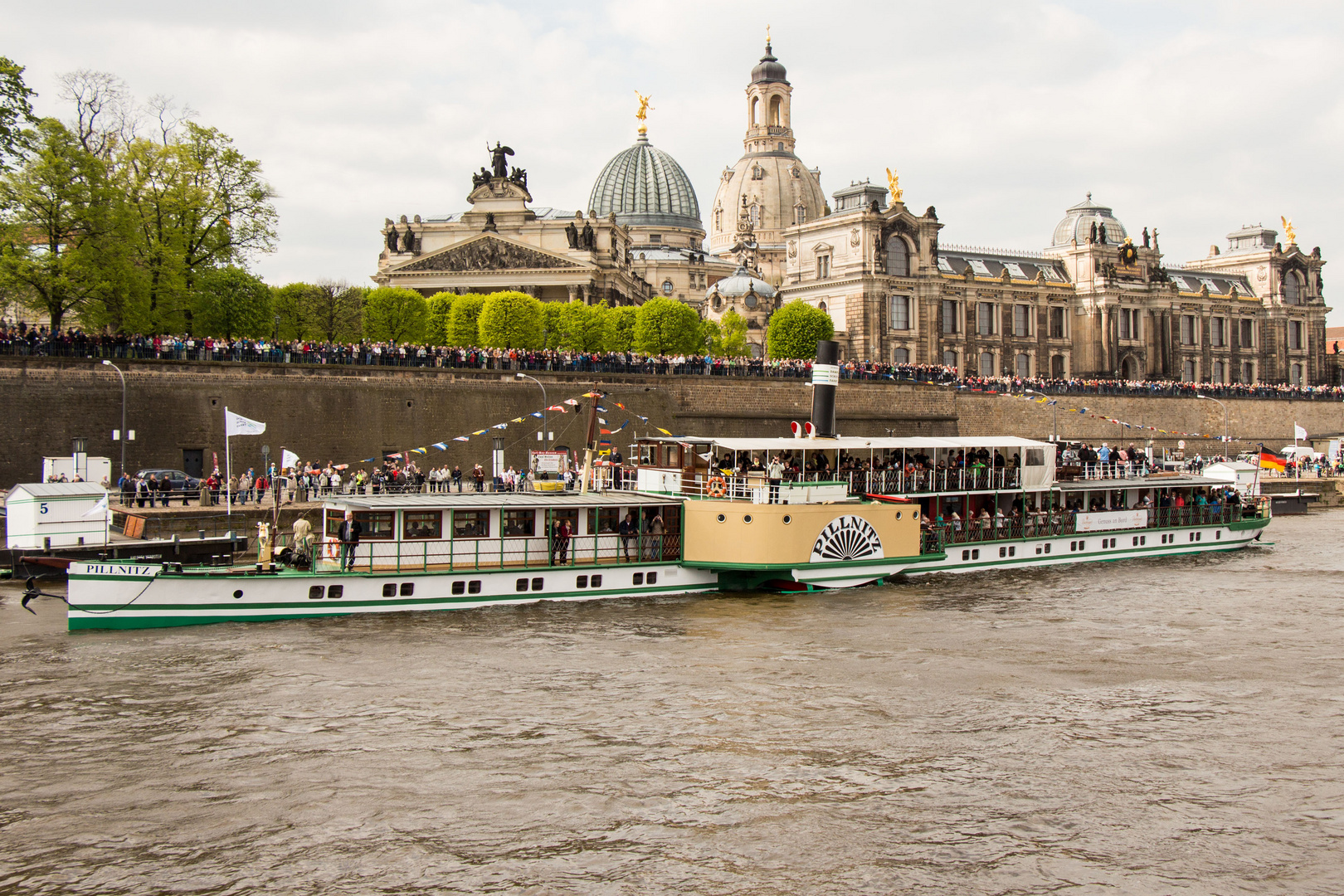 Dampfschiff Pillnitz vor der Skyline von Dresden