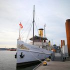 Dampfschiff "SCHAARHÖRN" IMO : 5010323