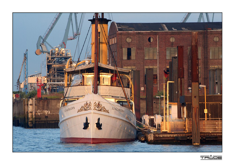 Dampfschiff Scharhörn in der Abendsonne