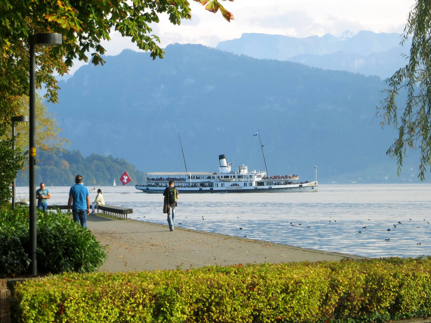 Dampfschiff Stadt Luzern ...