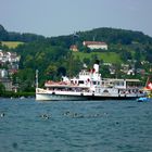 Dampfschiff "Stadt Luzern" ...