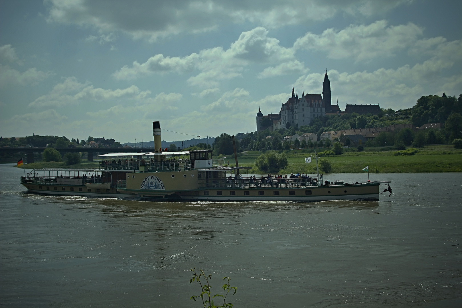 Dampfschiff "Stadt Wehlen " bei Meißen