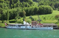 Dampfschiff-Wettfahrt auf dem Vierwaldstättersee (2)