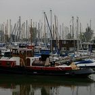 Dampfschlepper im Hafen von Hoorn/ NL