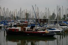 Dampfschlepper im Hafen von Hoorn/ NL