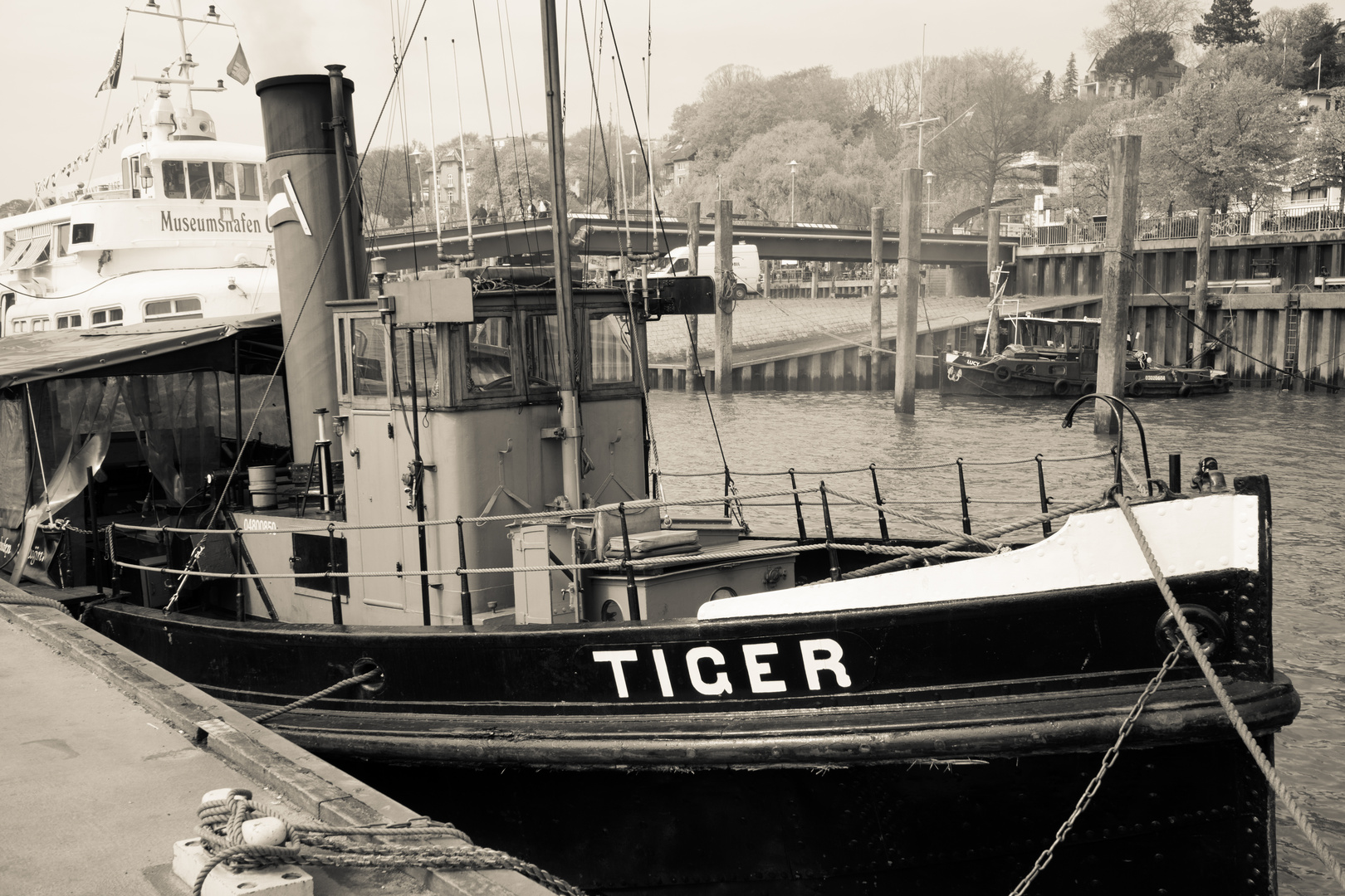 Dampfschlepper TIGER im Museumshafen Övelgönne -- Hafen Hamburg