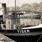 Dampfschlepper TIGER im Museumshafen Övelgönne -- Hafen Hamburg