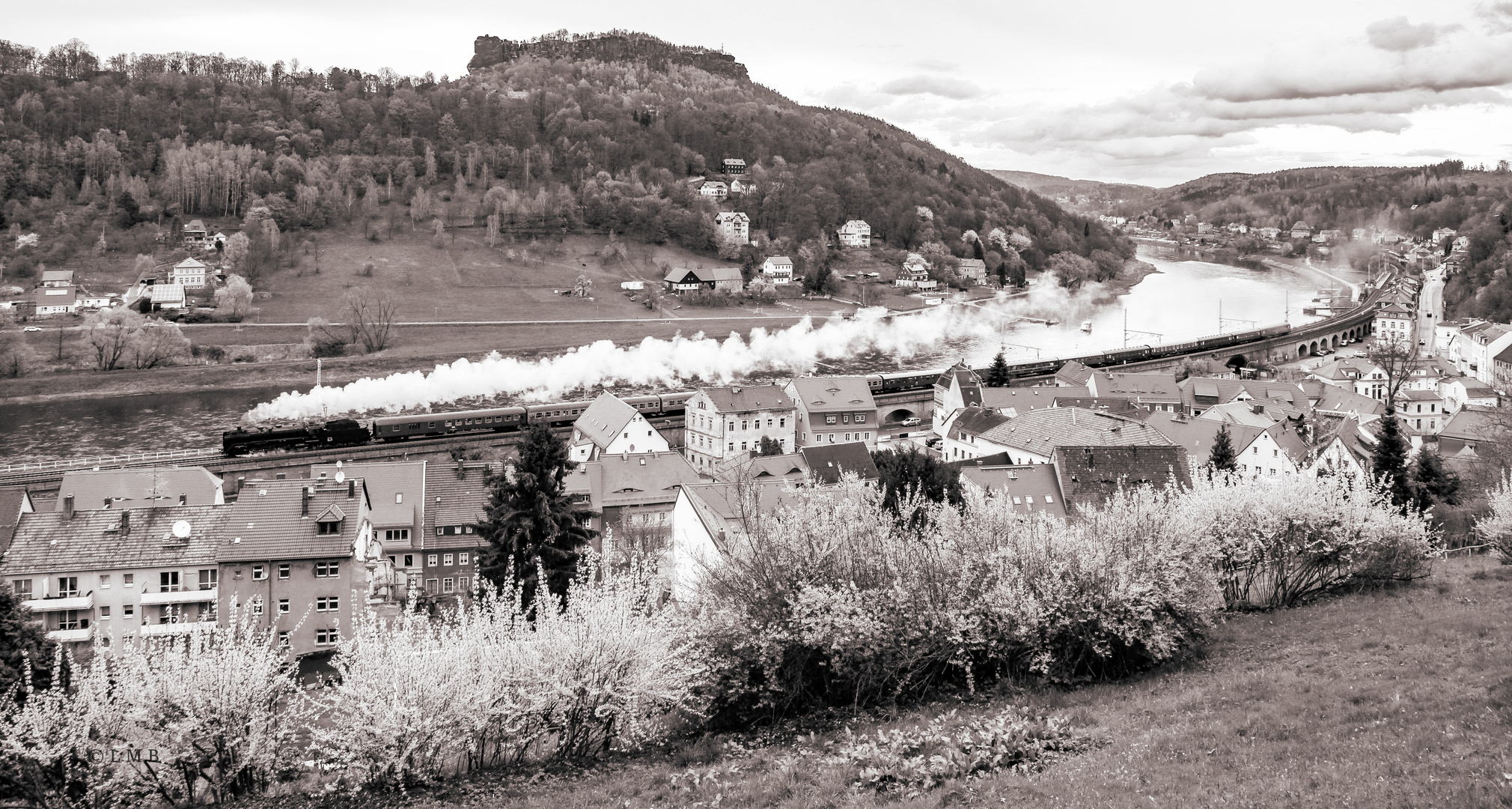 Dampfschnellzug in der Elbschleife