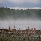 Dampfschwaden über dem Mochowsee