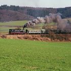 Dampfspektakel 2010 78 bei Rengen