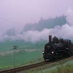 Dampfteppich im Waldviertel