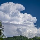 Dampfwolke vom Kernkraftwerk