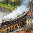 Dampfzug an der Elbe