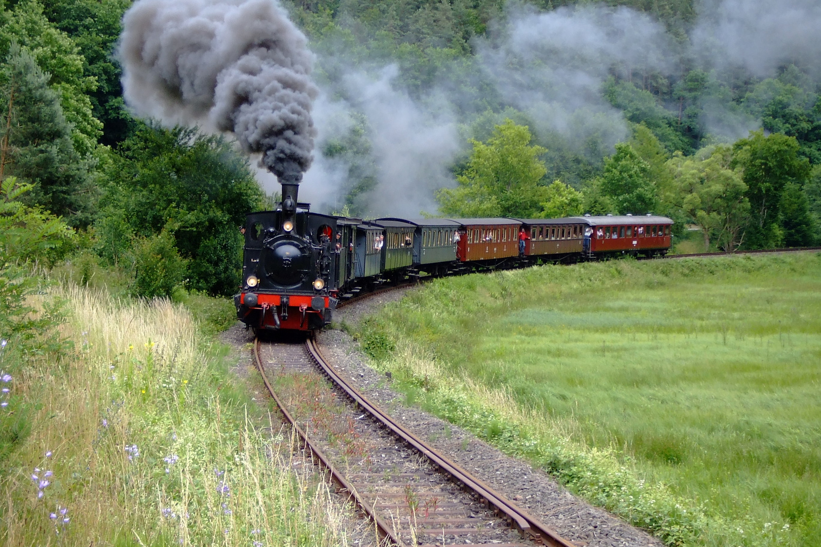 Dampfzug auf dem Kuckucksbähnel bei Elmstein