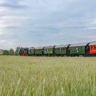 Dampfzug auf dem Lande