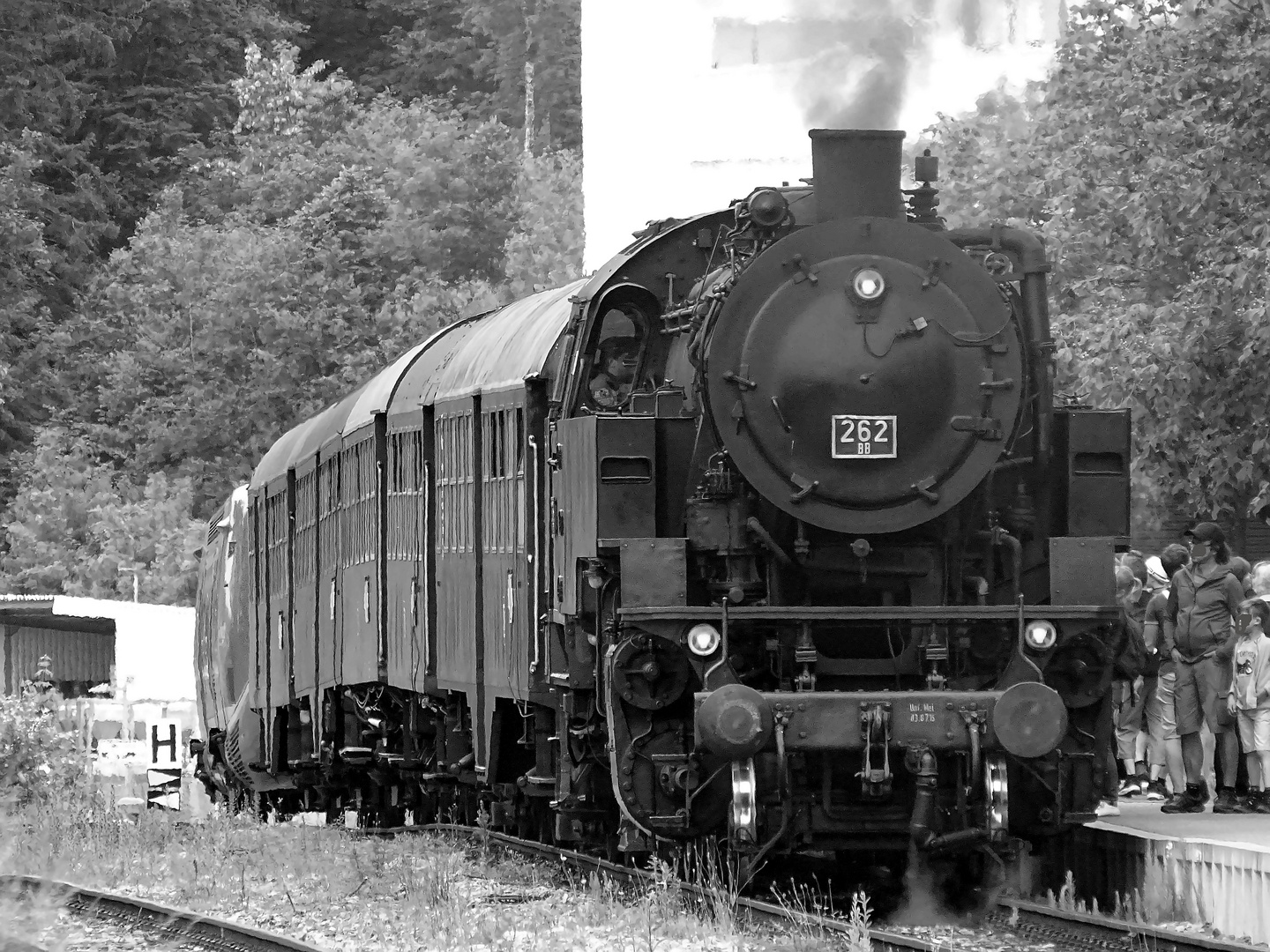 Dampfzug auf der Wutachtalbahn